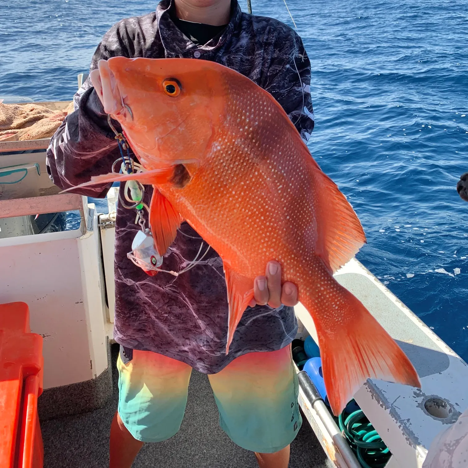 The most recent Emperor red snapper catches on Fishbrain