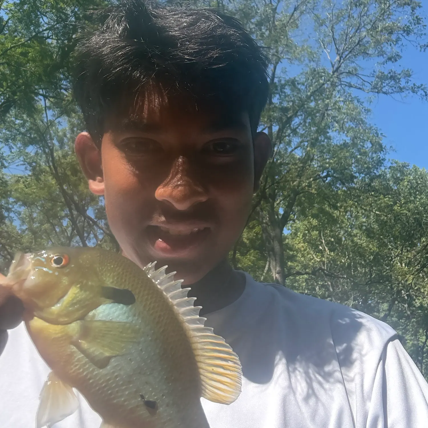 Redbreast sunfish caught on Fishbrain