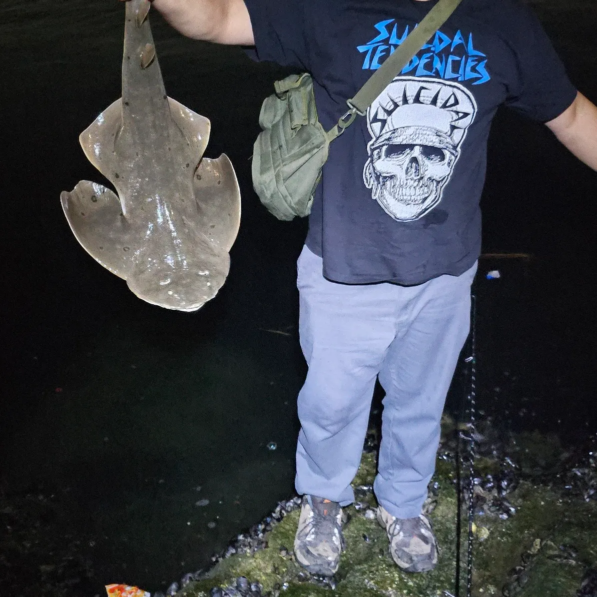 The most recent Pacific angelshark catches on Fishbrain