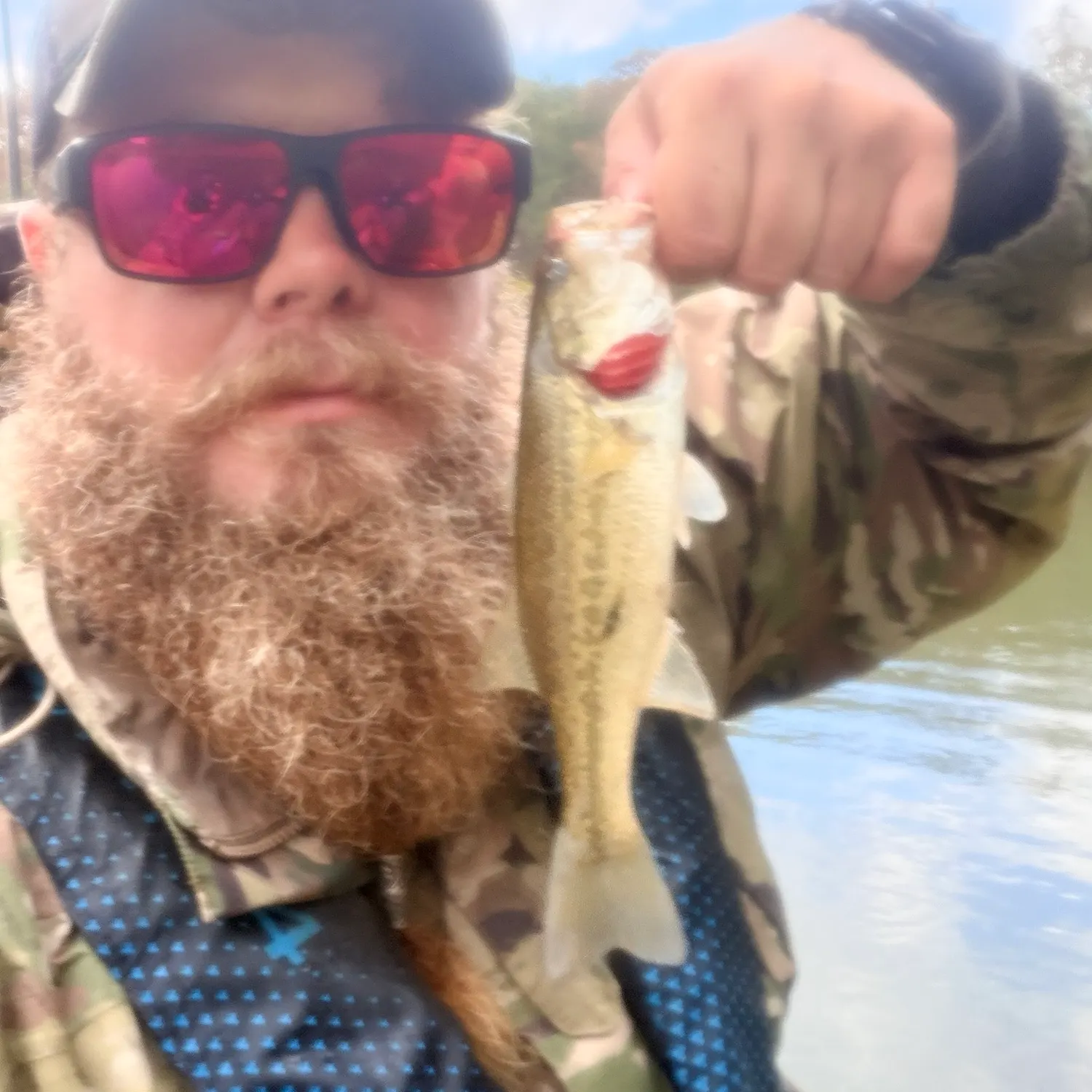 Largemouth bass caught on Fishbrain