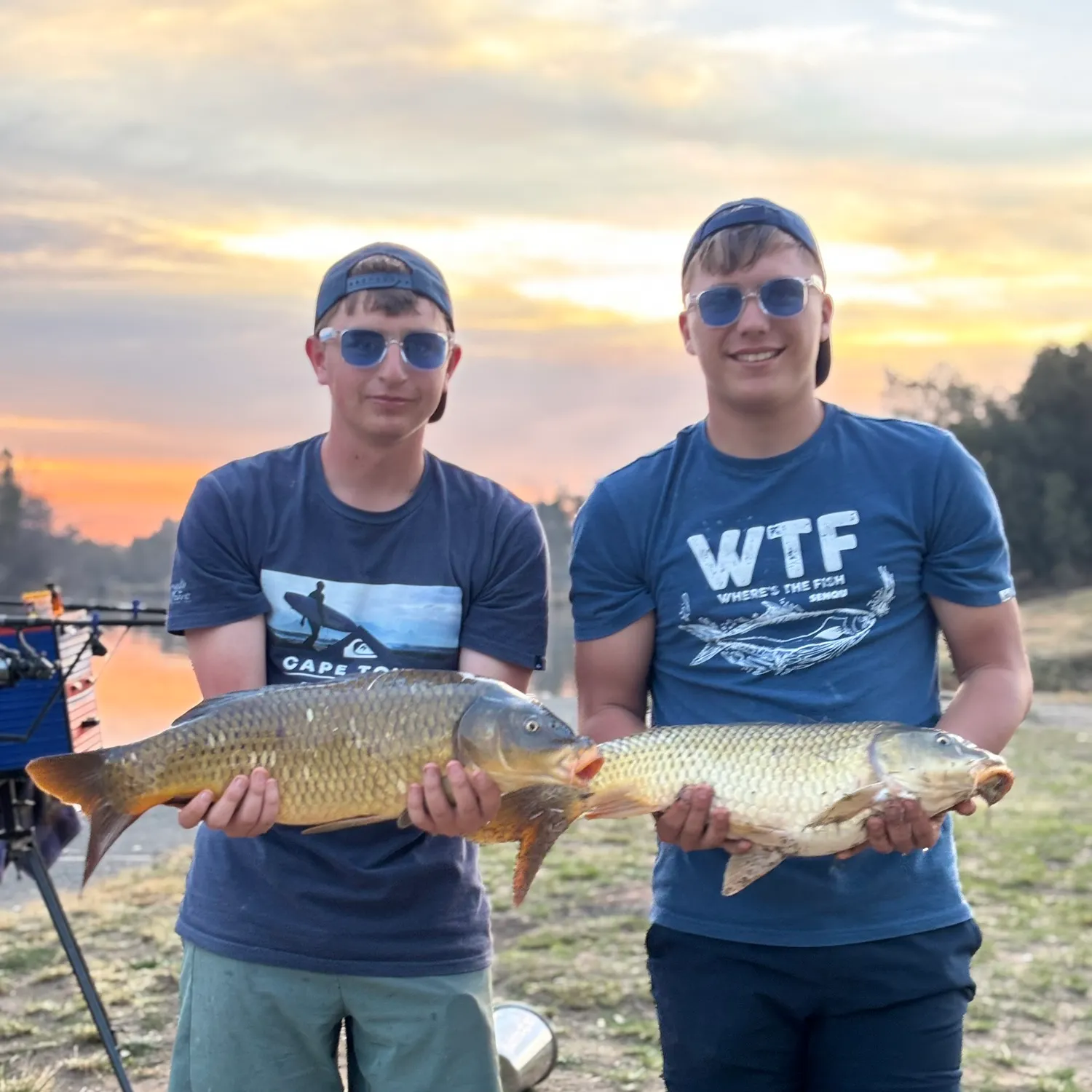 Common carp caught on Fishbrain