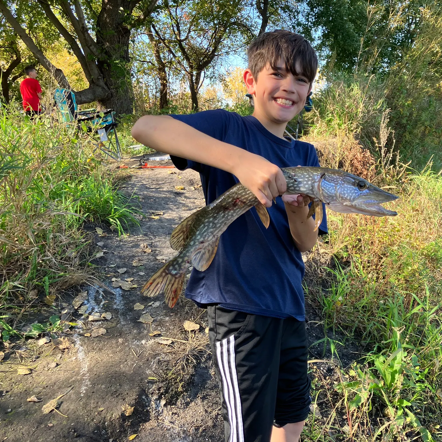 Northern pike caught on Fishbrain