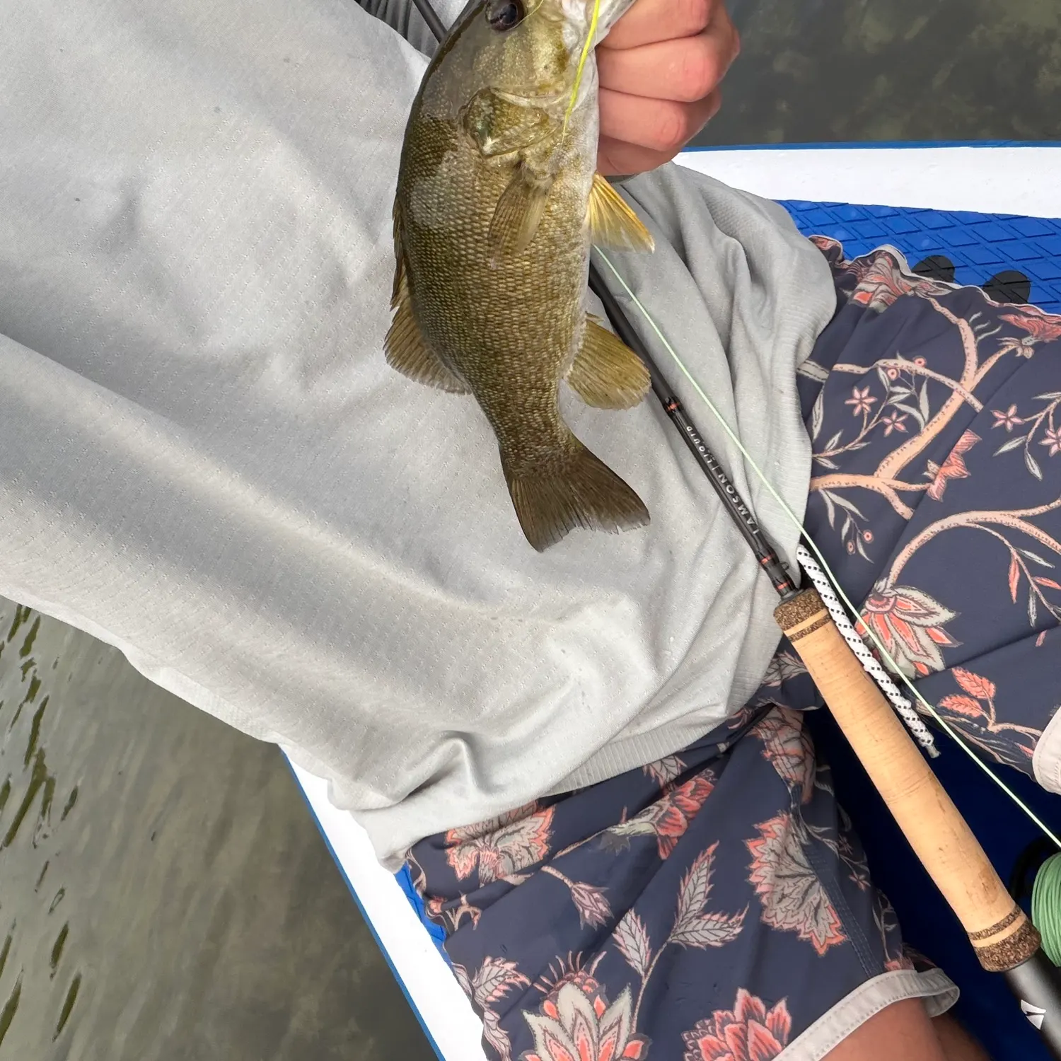 Smallmouth bass caught on Fishbrain