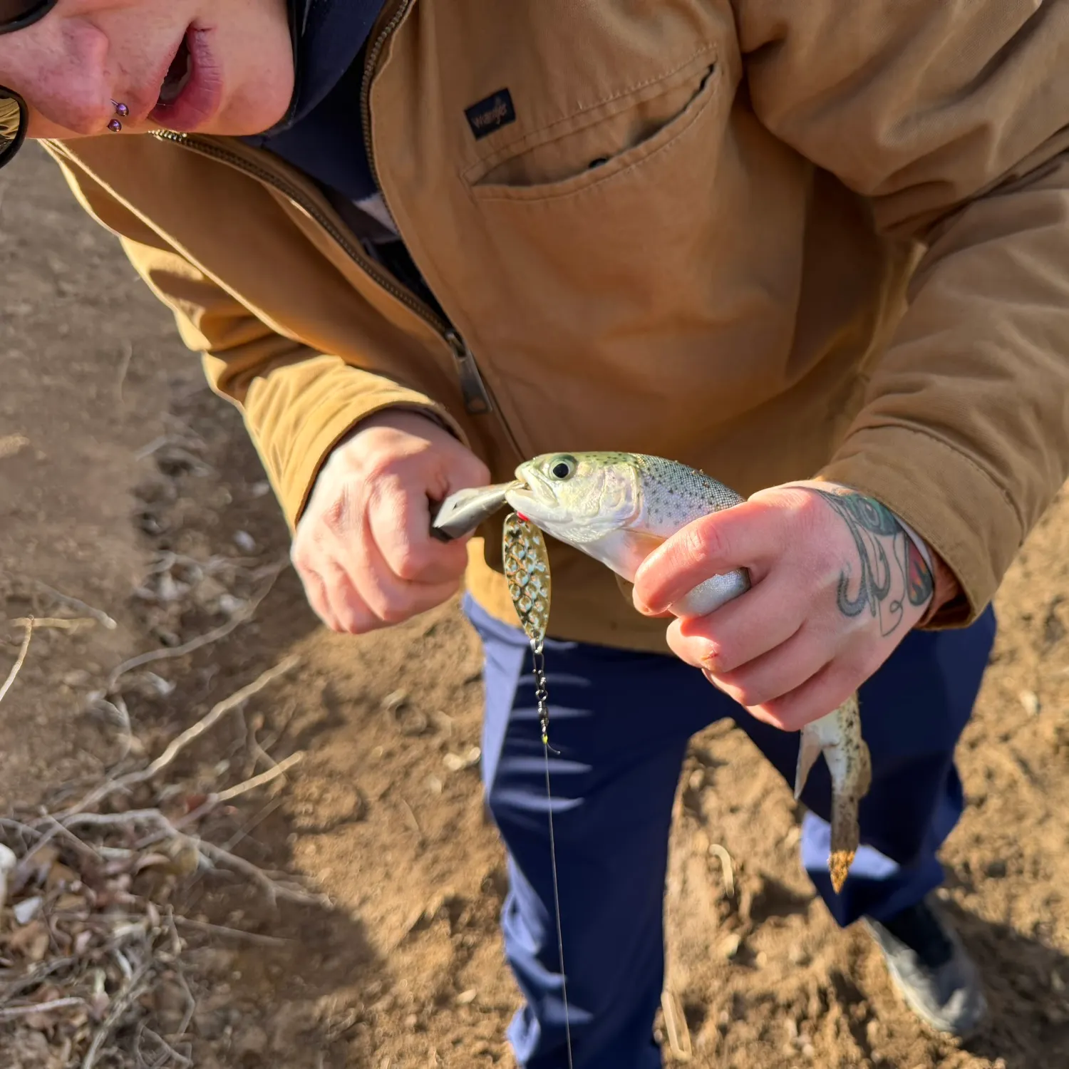 recently logged catches