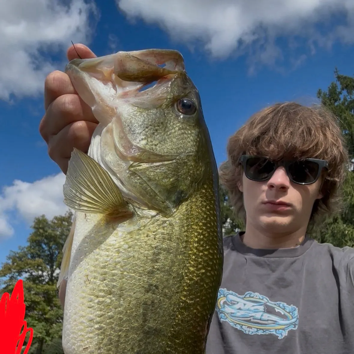 Largemouth bass caught on Fishbrain