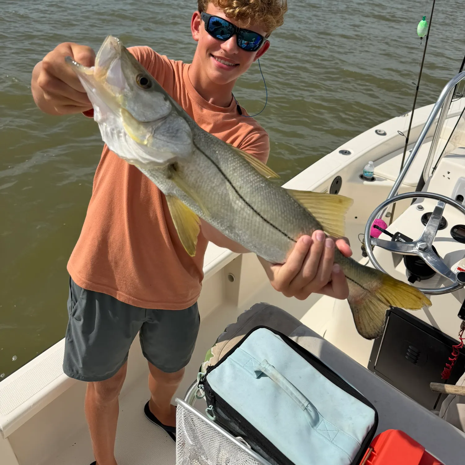 The most recent Common snook catches on Fishbrain