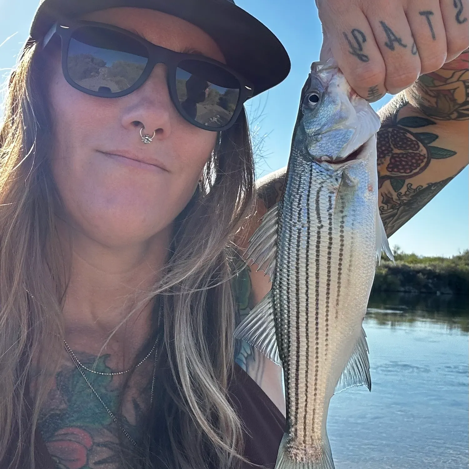 Striped bass caught on Fishbrain