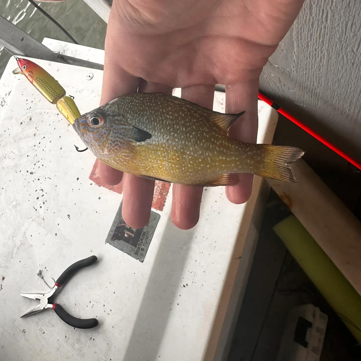 catch