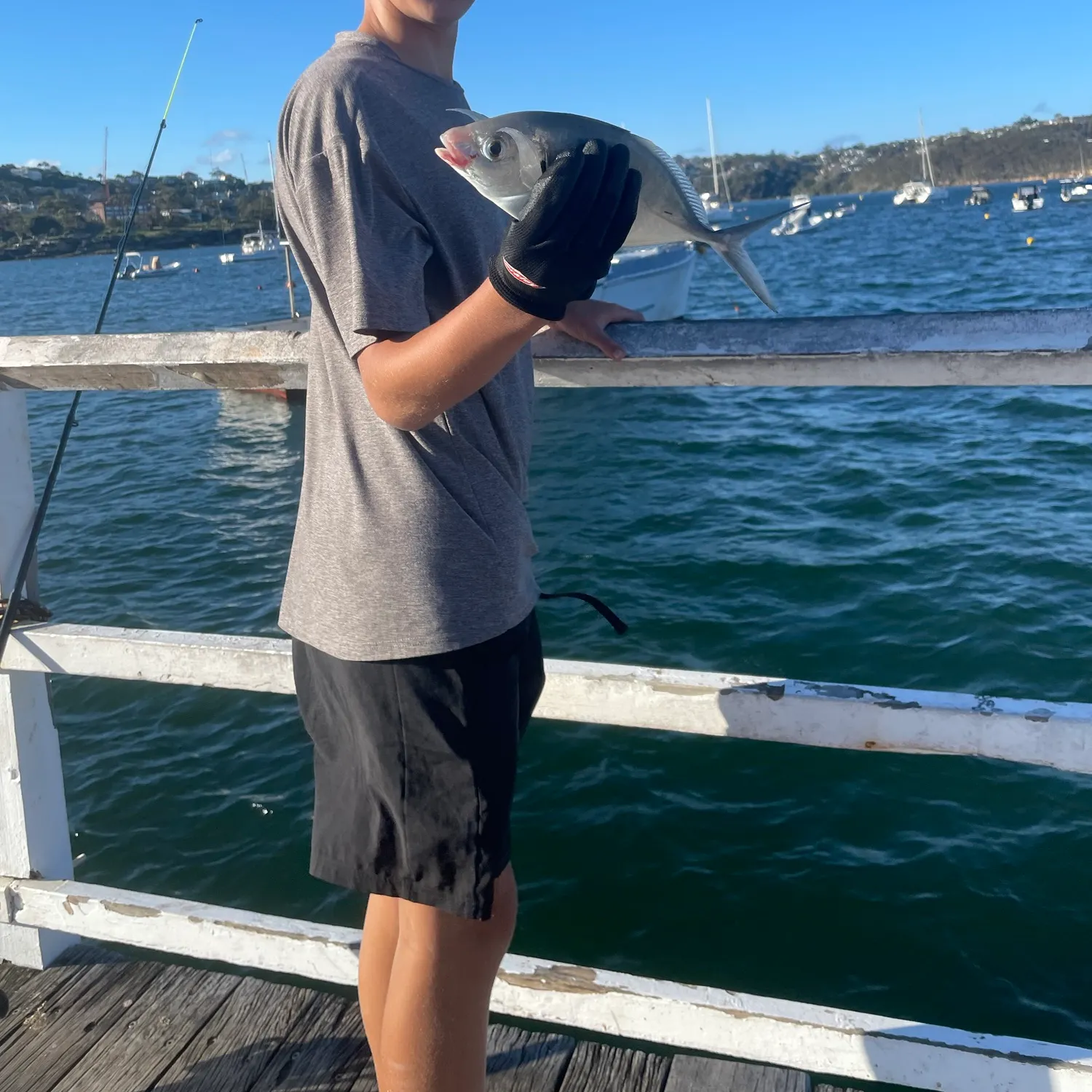 White trevally caught on Fishbrain