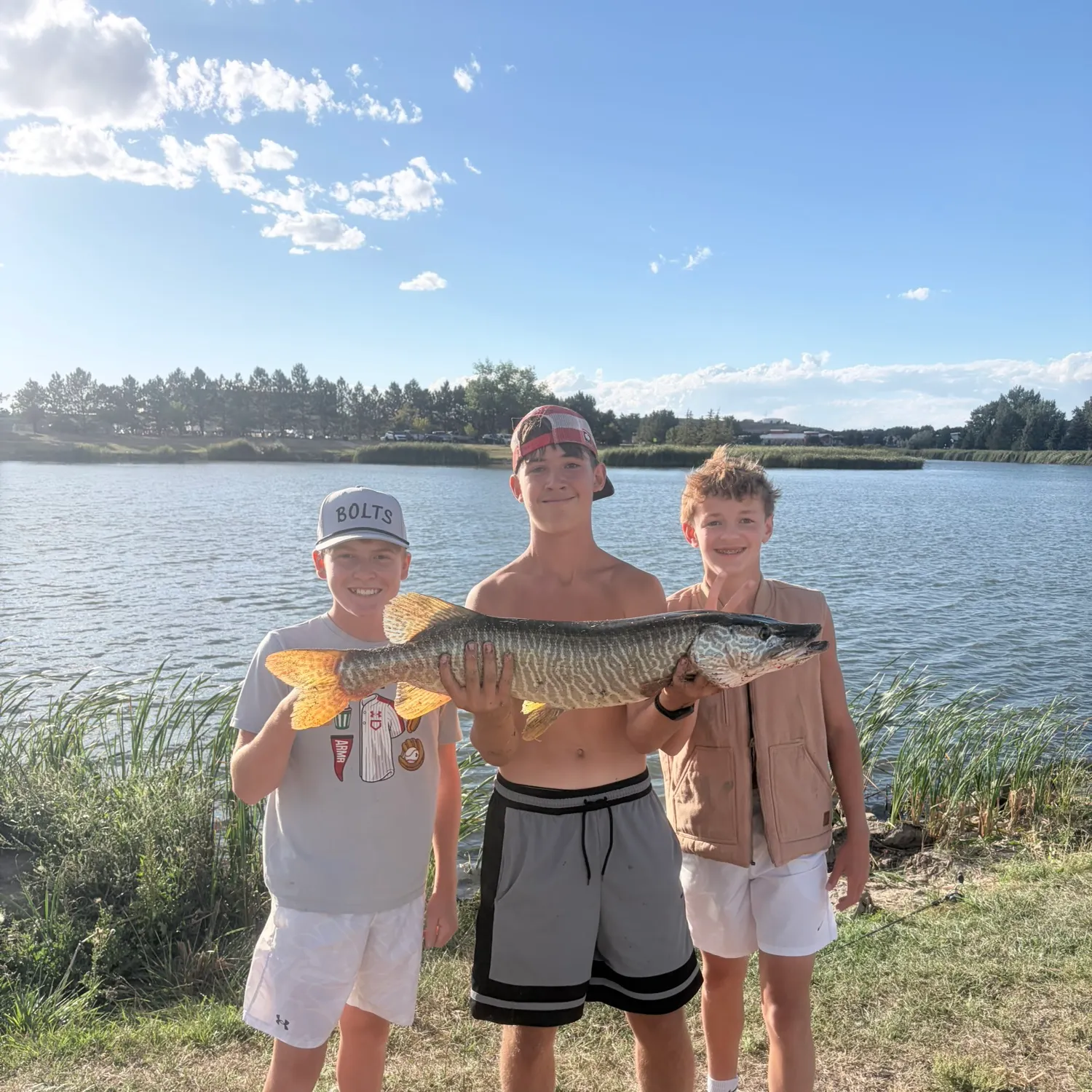 Tiger muskie caught on Fishbrain