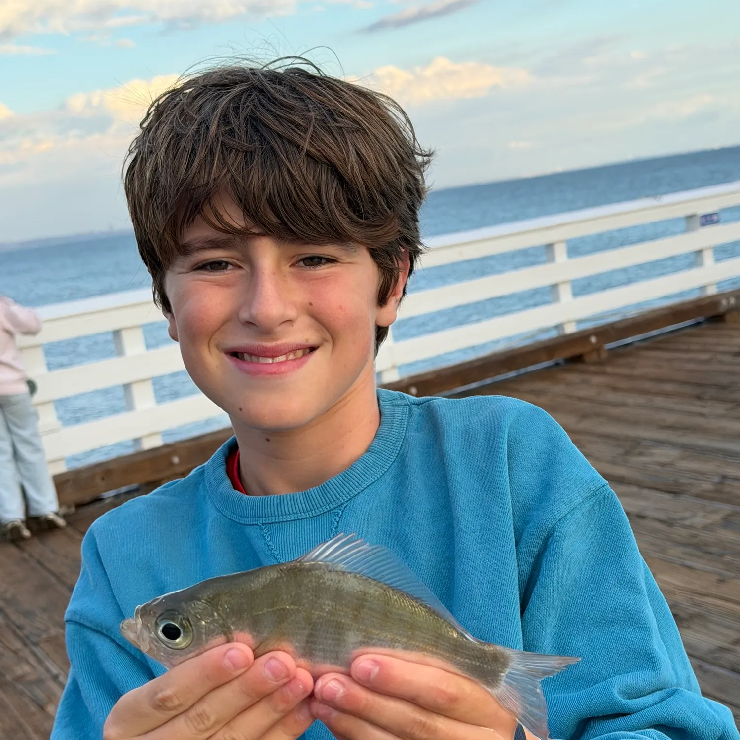 Walleye surfperch caught on Fishbrain