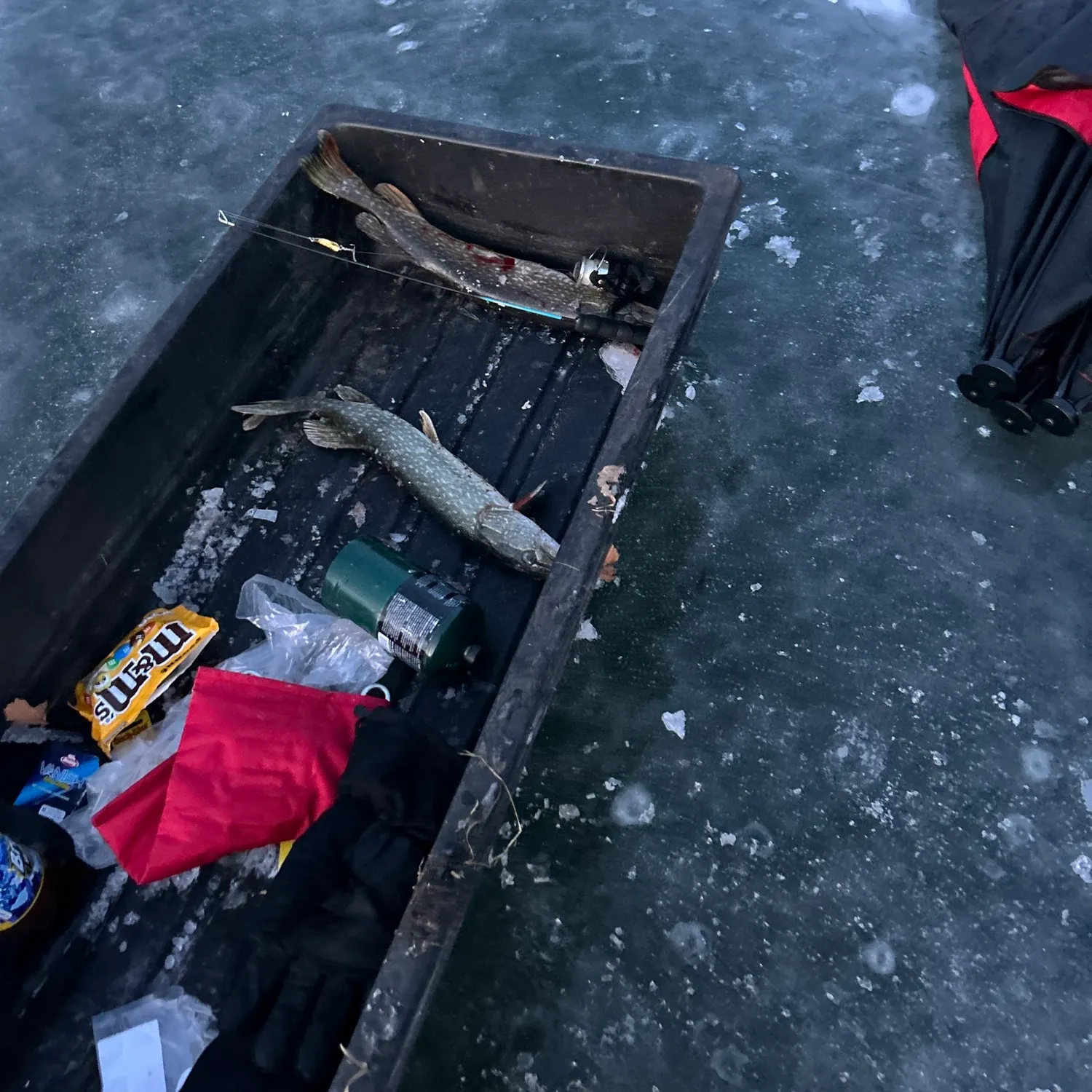 recently logged catches