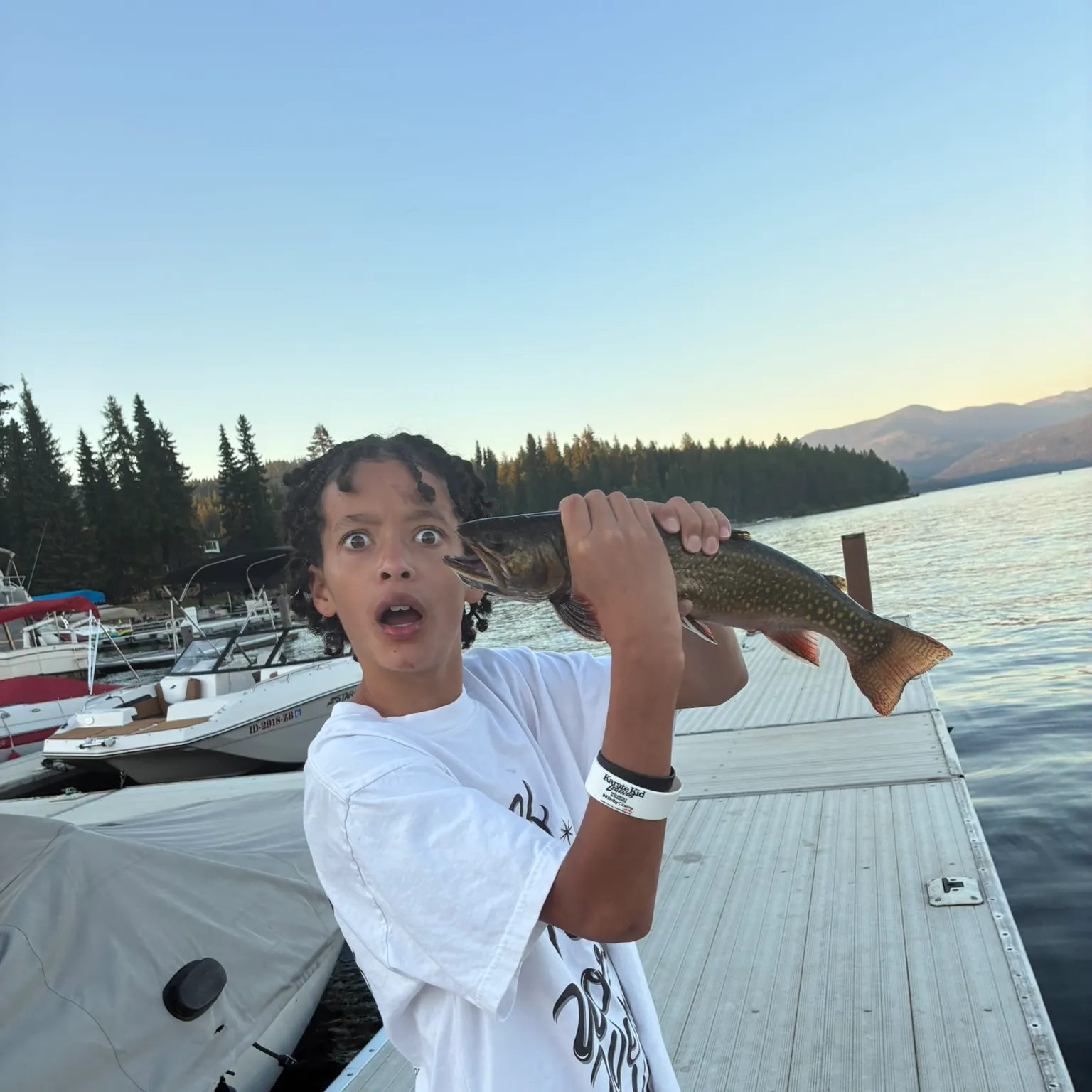 The most recent Brook trout catches on Fishbrain