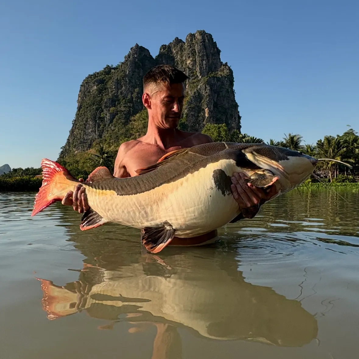 The most recent Redtail catfish catches on Fishbrain