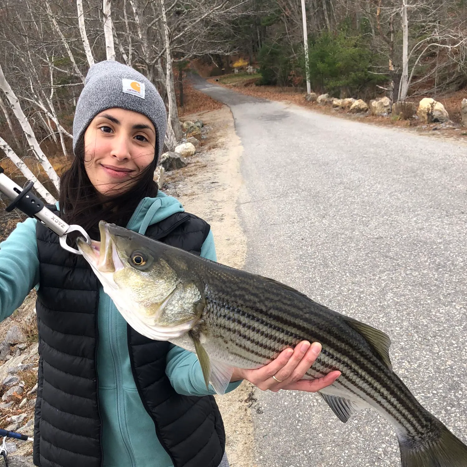 recently logged catches