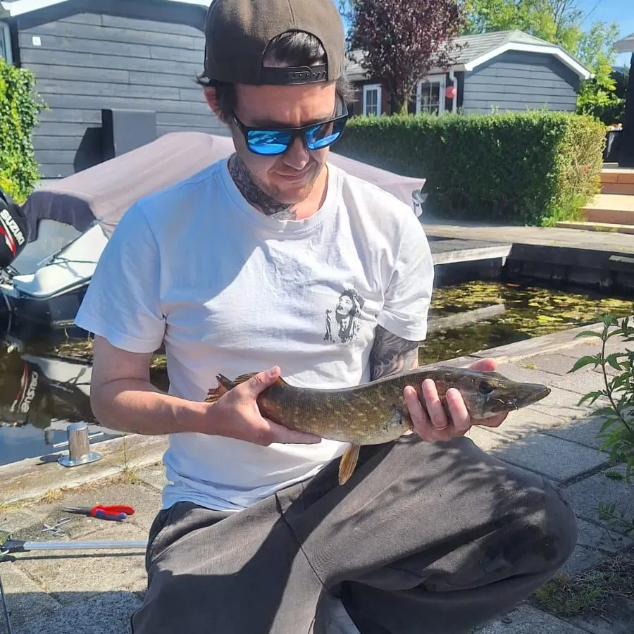 Northern pike caught on Fishbrain