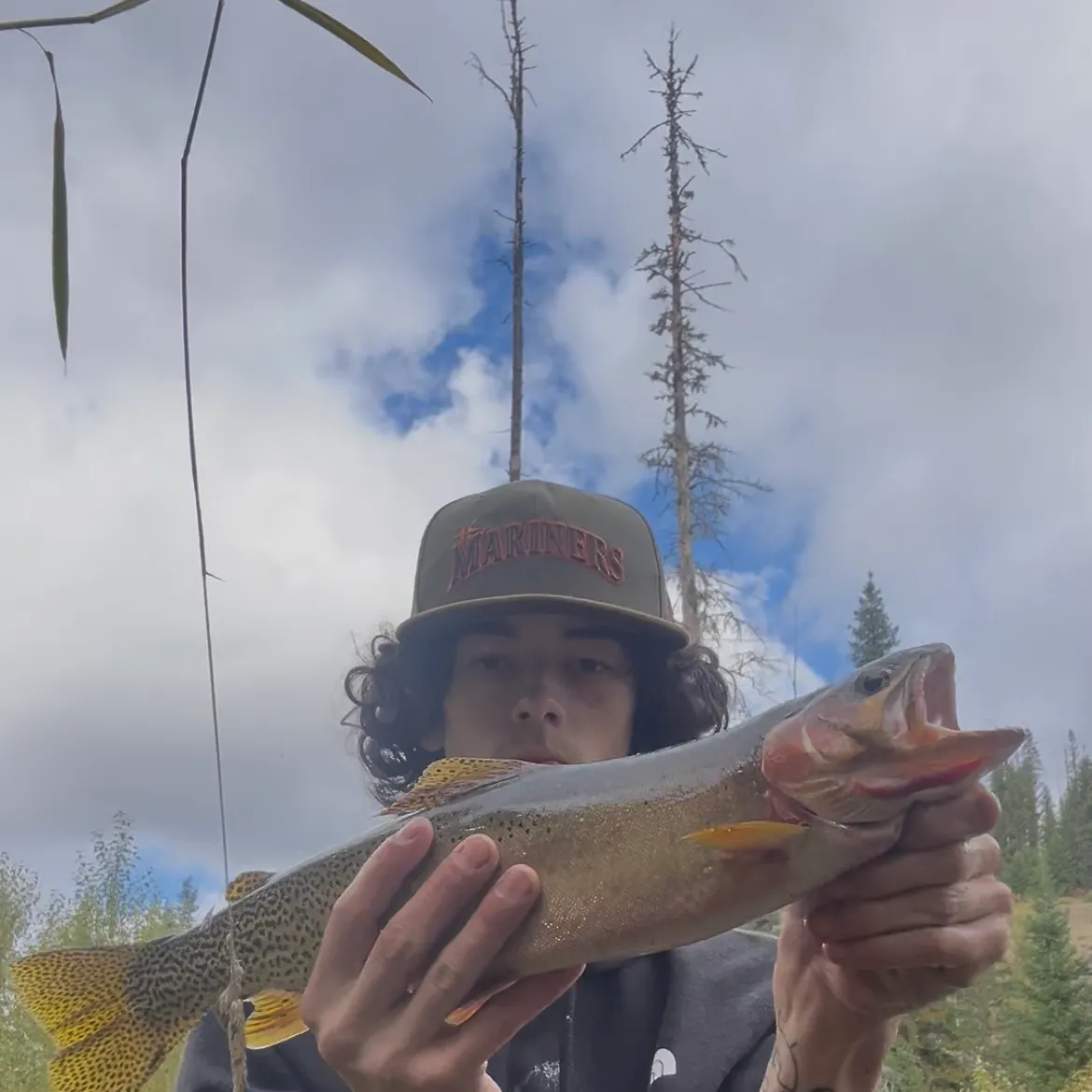Westslope cutthroat trout caught on Fishbrain
