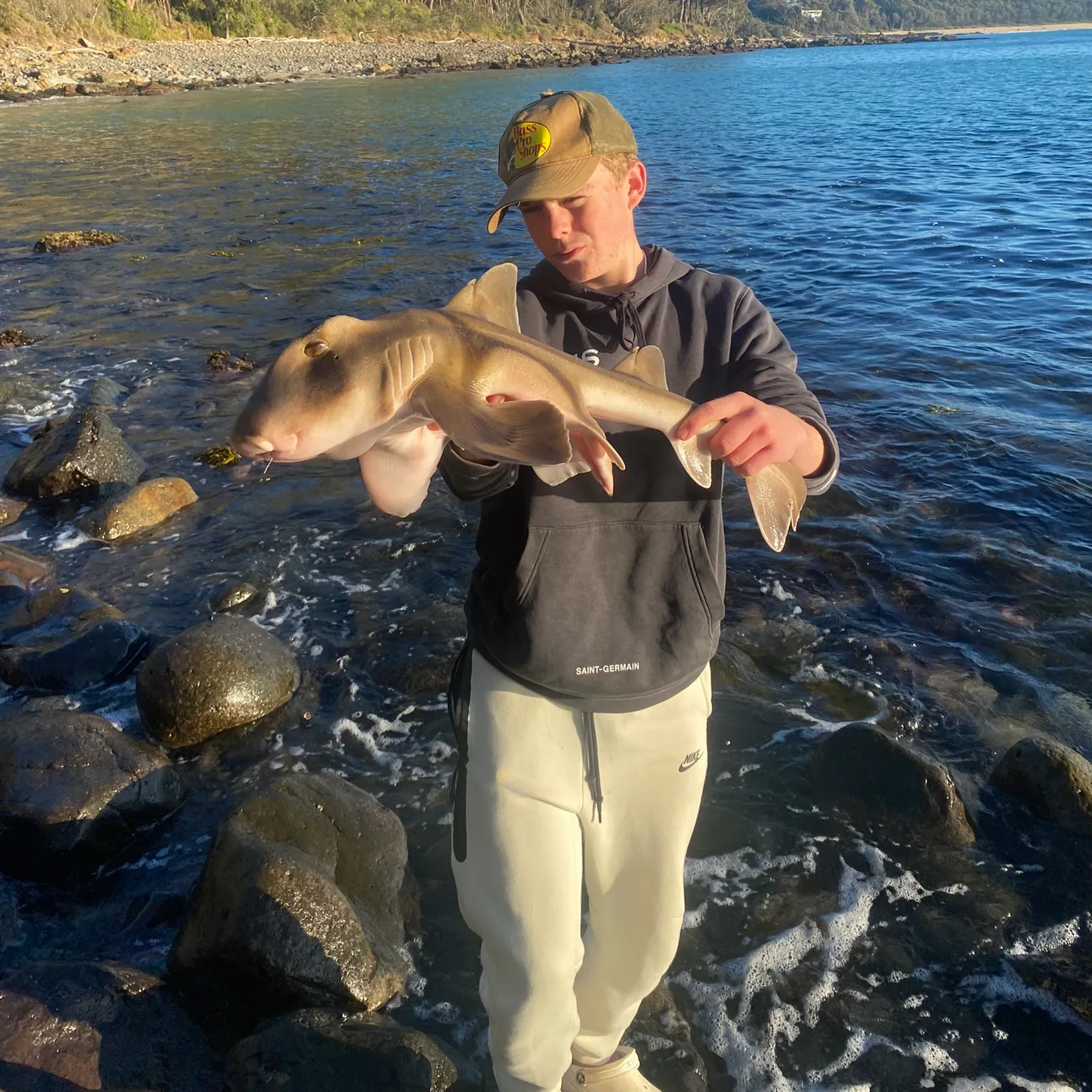 The most recent Port Jackson shark catches on Fishbrain