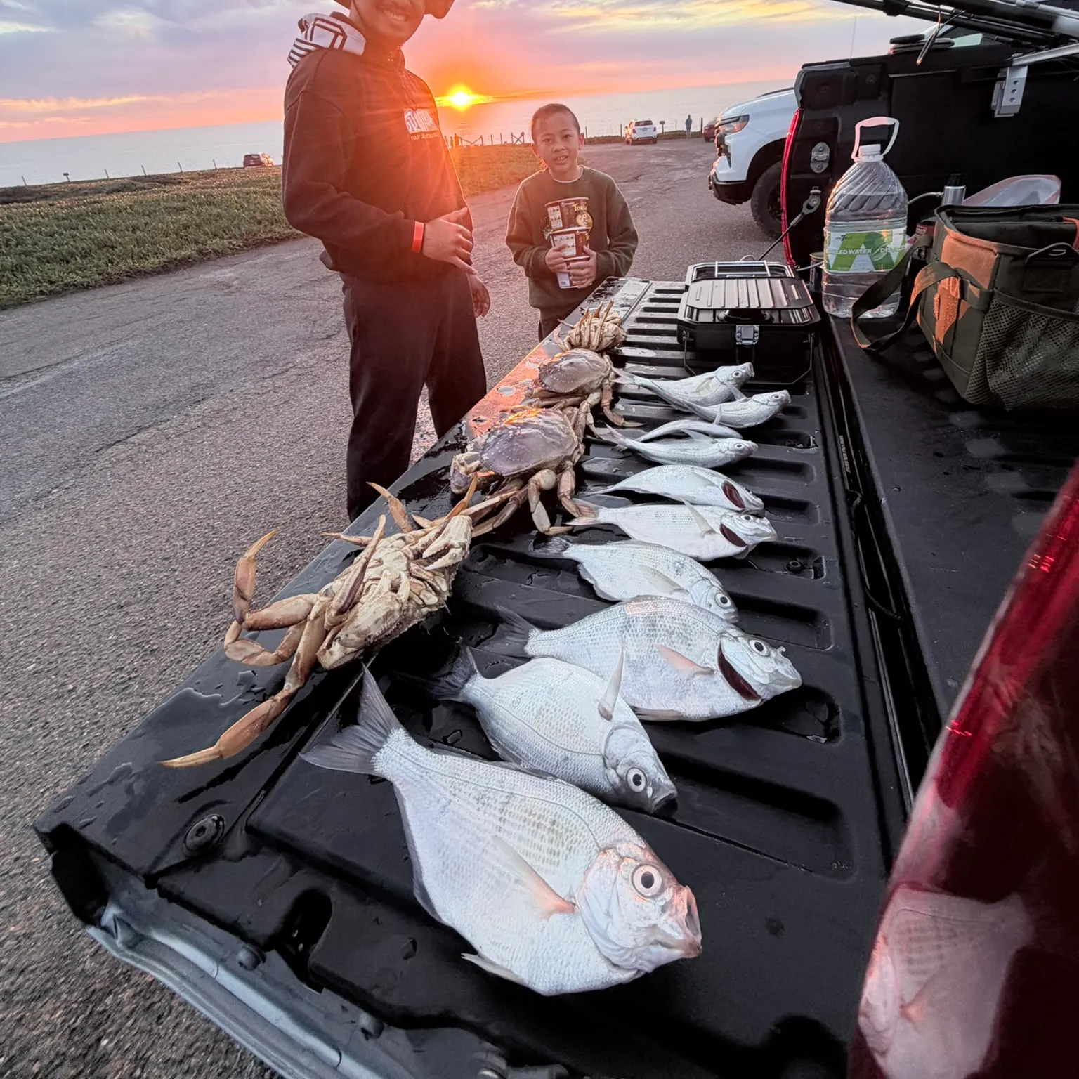 The most recent Silver surfperch catches on Fishbrain