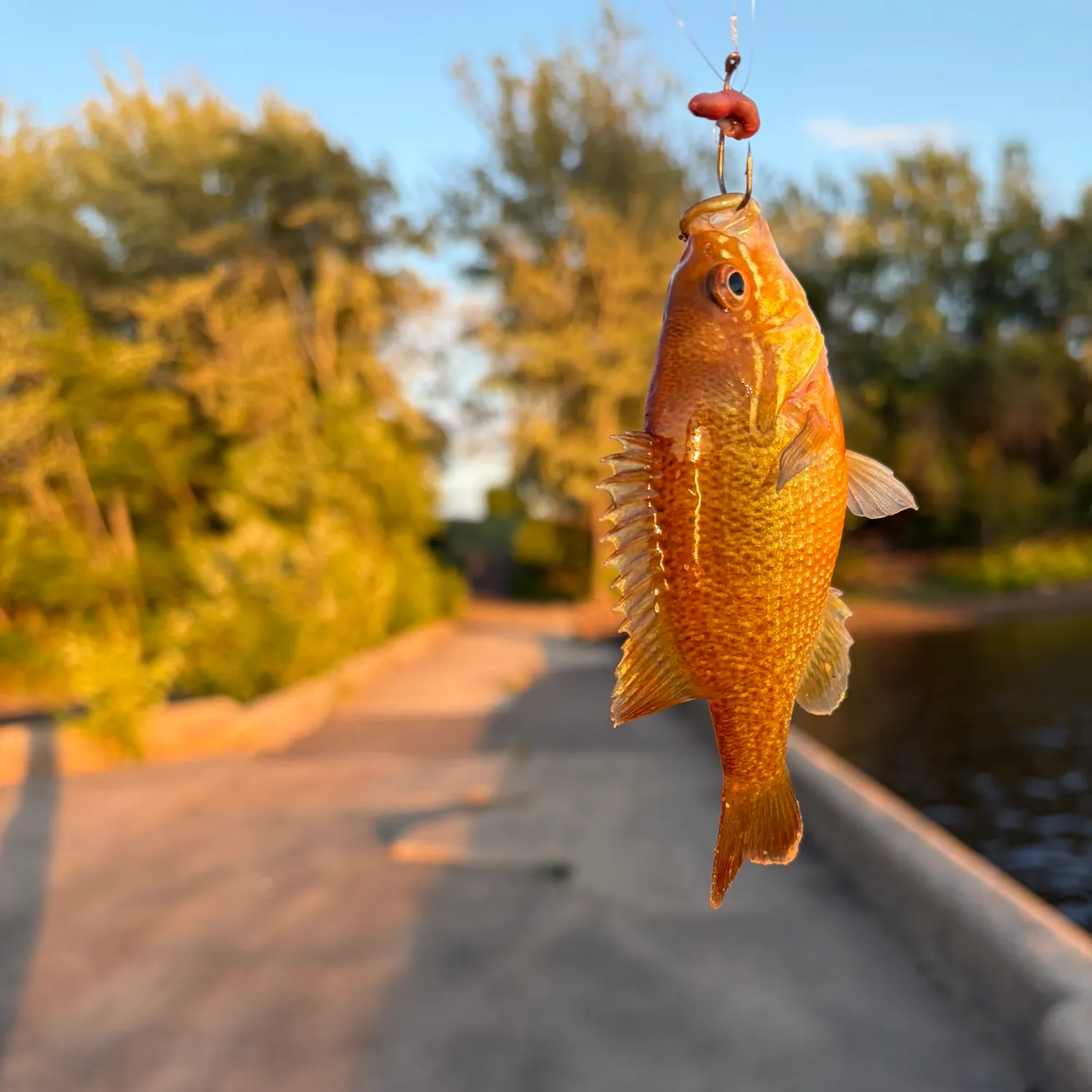 catch