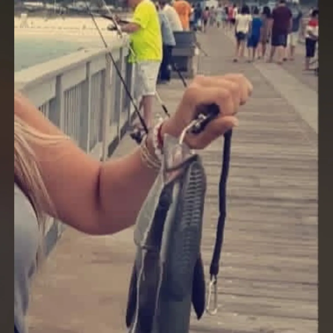 Common remora caught on Fishbrain