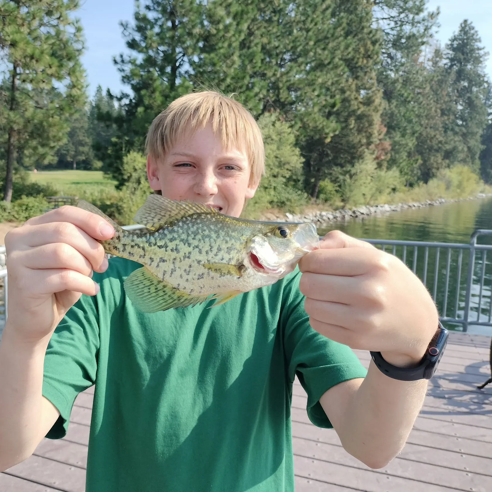 Black crappie caught on Fishbrain