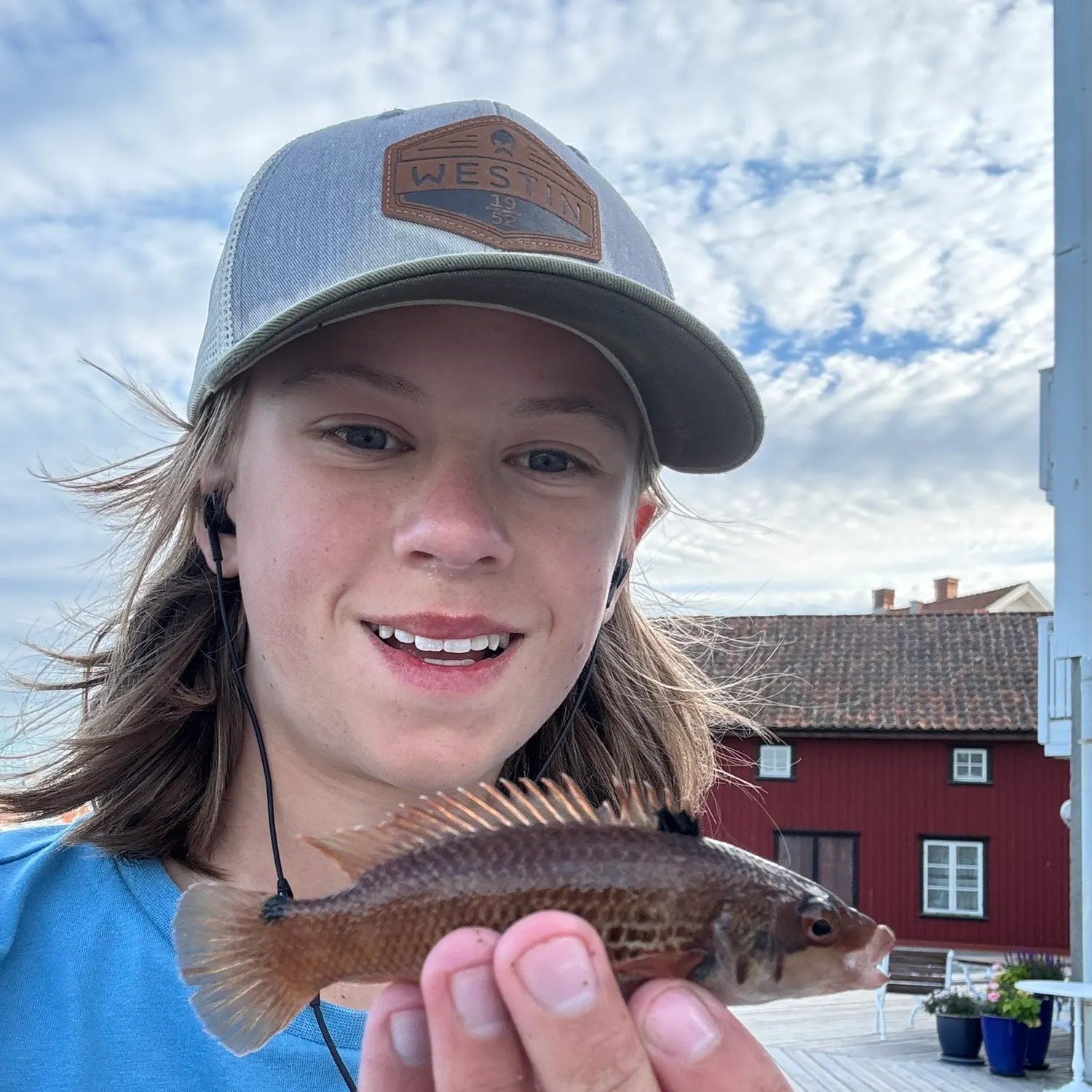 The most recent Goldsinny wrasse catches on Fishbrain