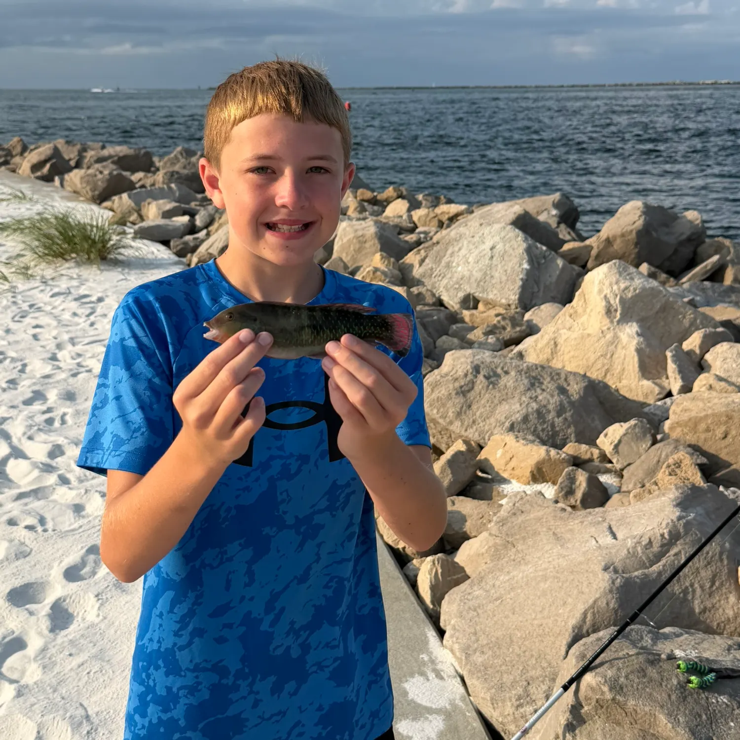 The most recent Blue runner catches on Fishbrain