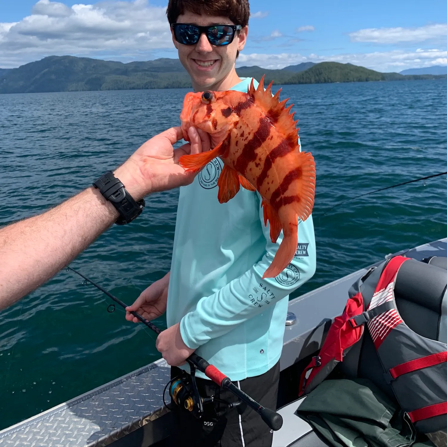 The most popular recent Tiger rockfish catch on Fishbrain