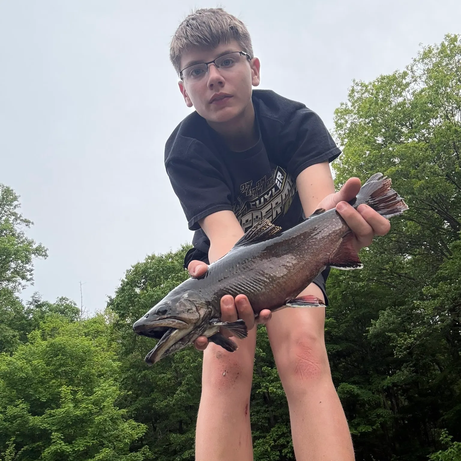The most recent Brook trout catches on Fishbrain