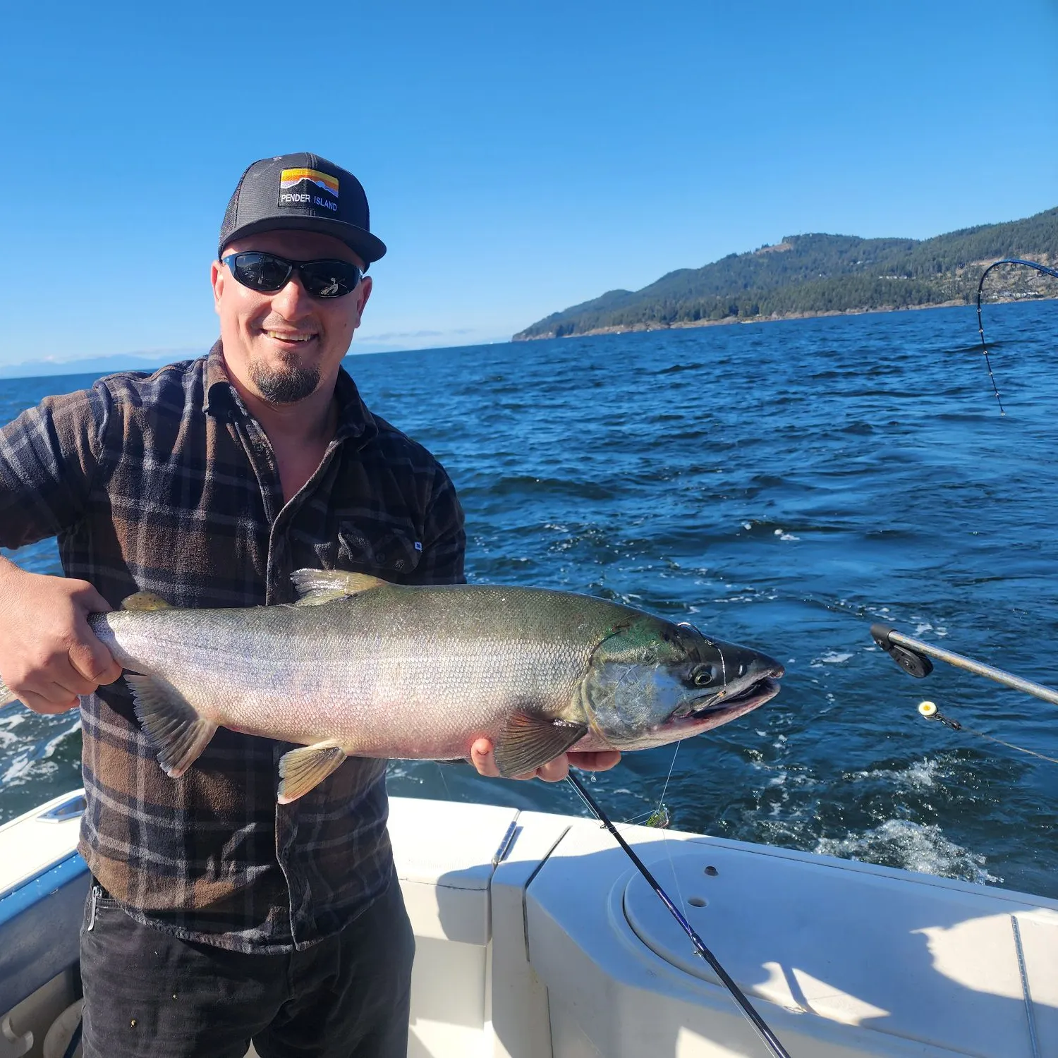 Chum salmon caught on Fishbrain