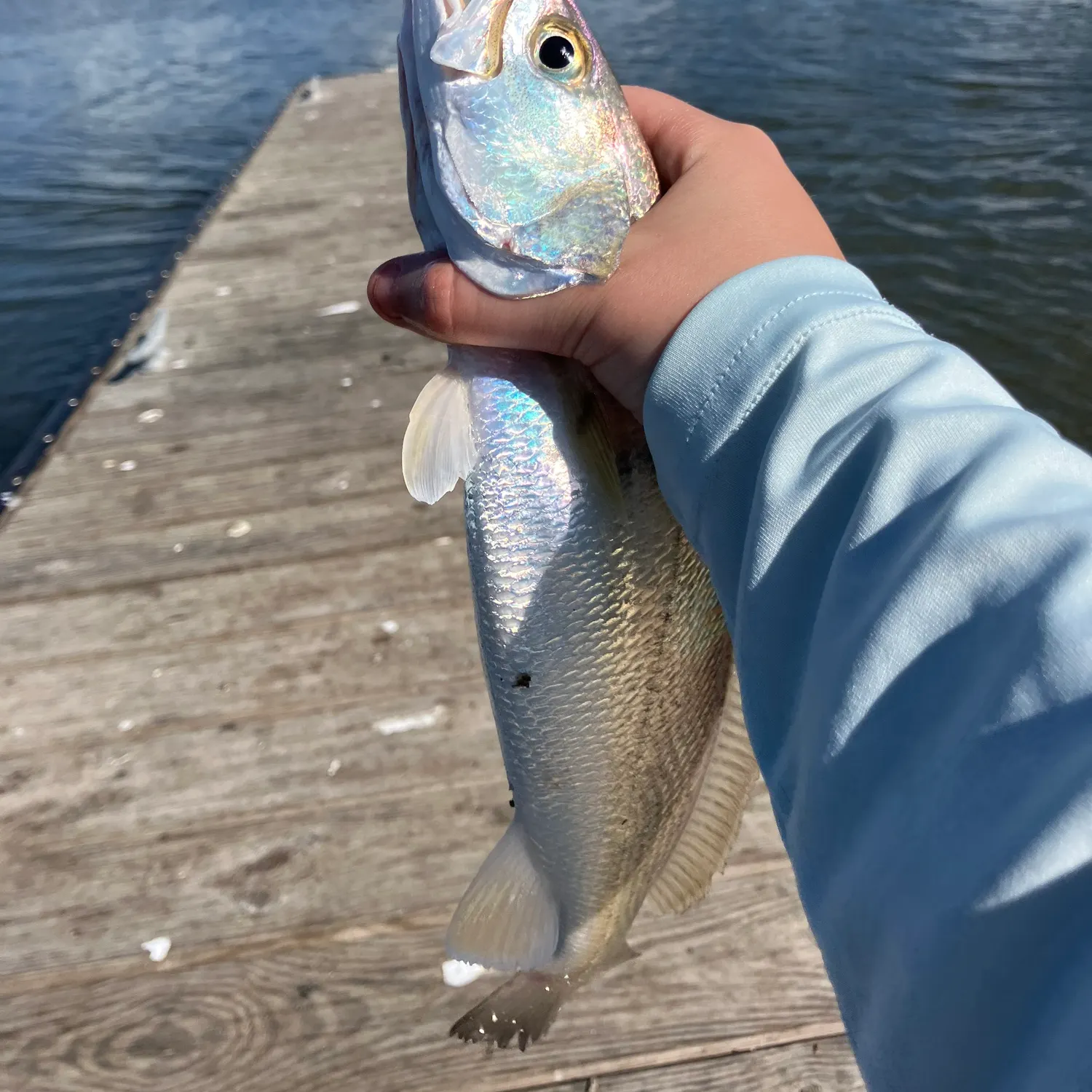 most liked catch image