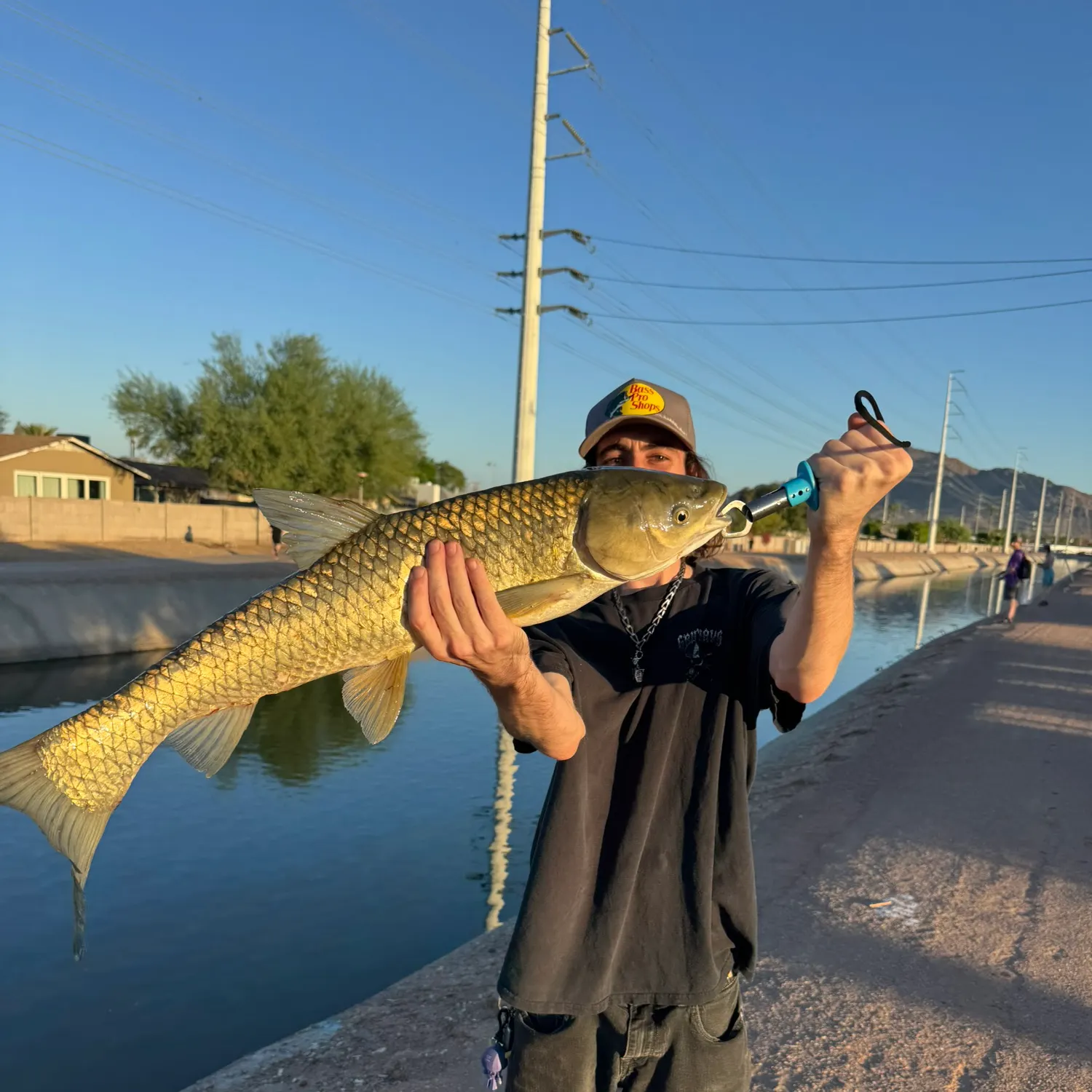 Grass carp caught on Fishbrain