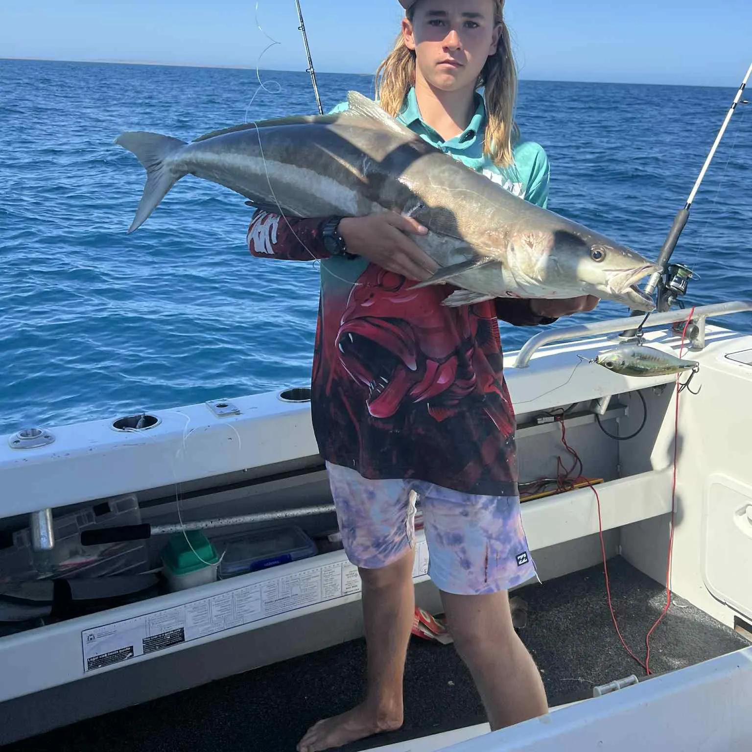 The most recent Cobia catches on Fishbrain