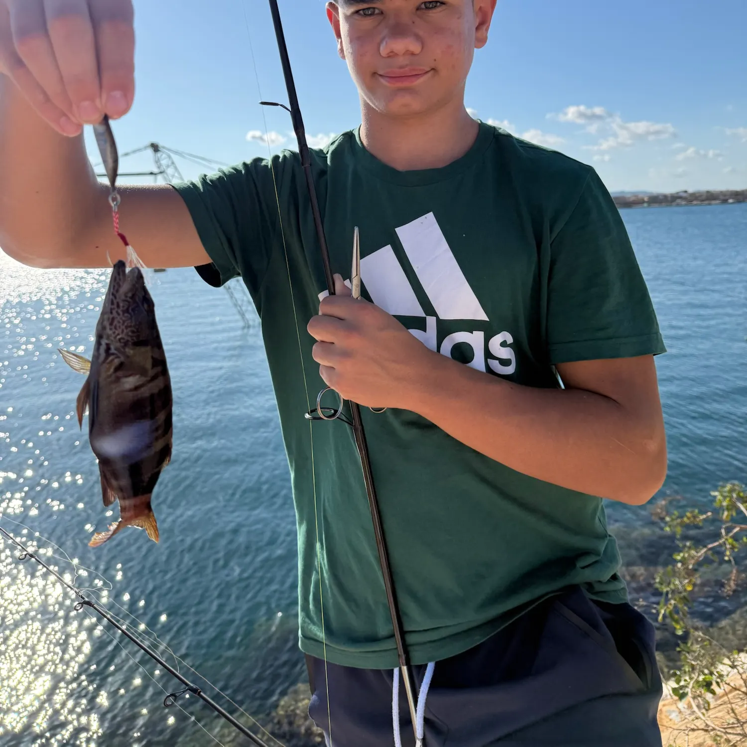 The most recent Painted comber catches on Fishbrain