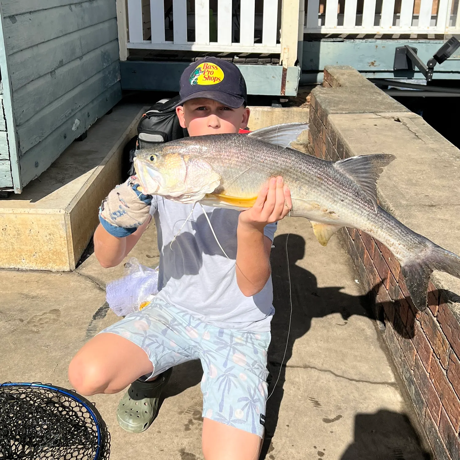 most liked catch image