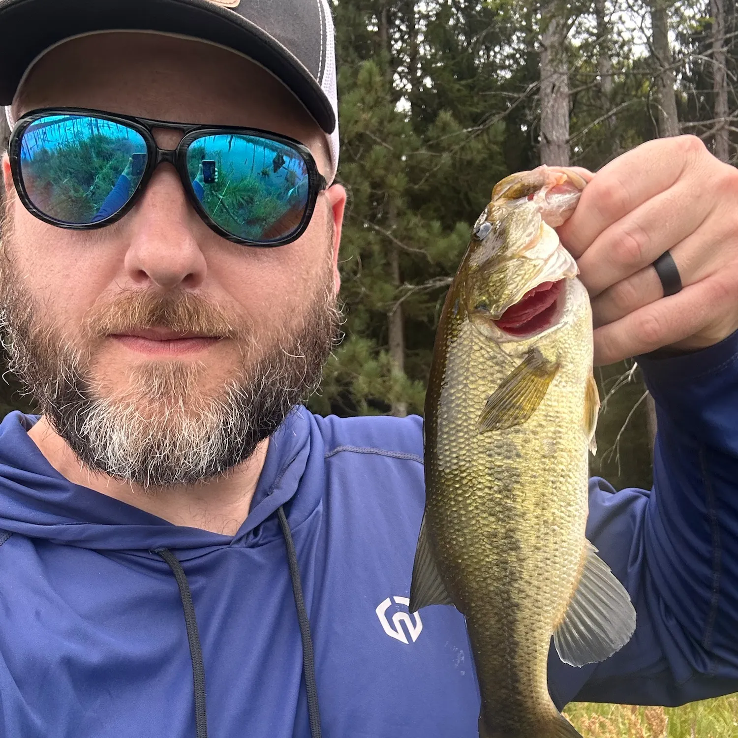 Largemouth bass caught on Fishbrain