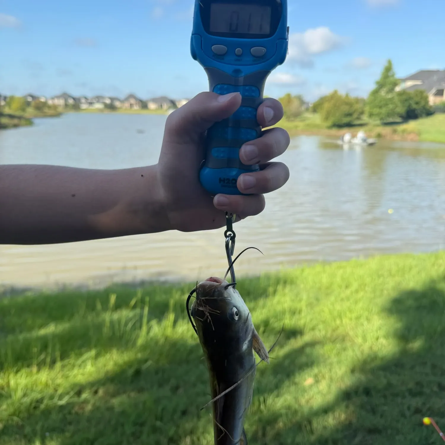 catch