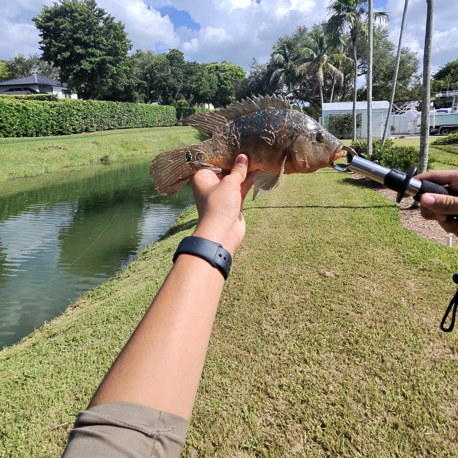 catch