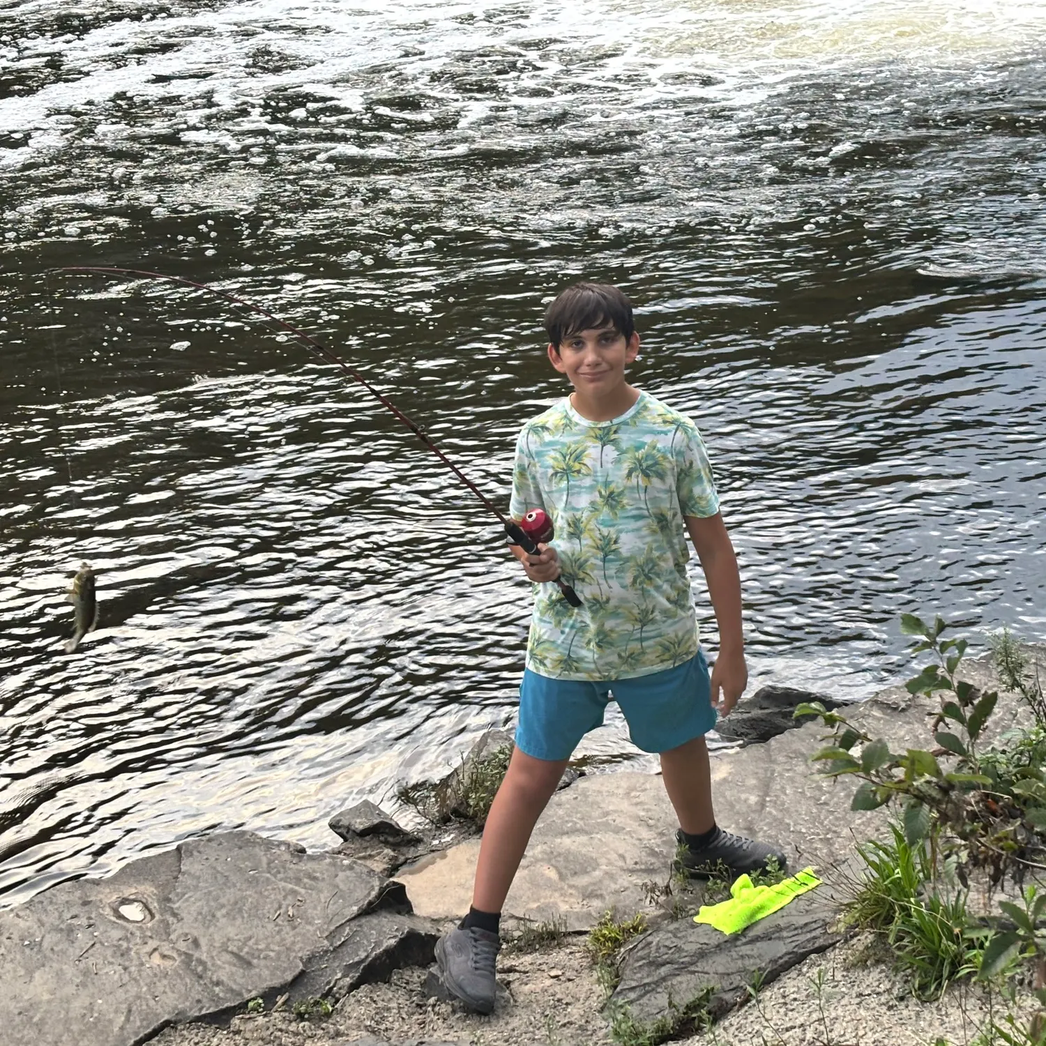 Bluegill caught on Fishbrain