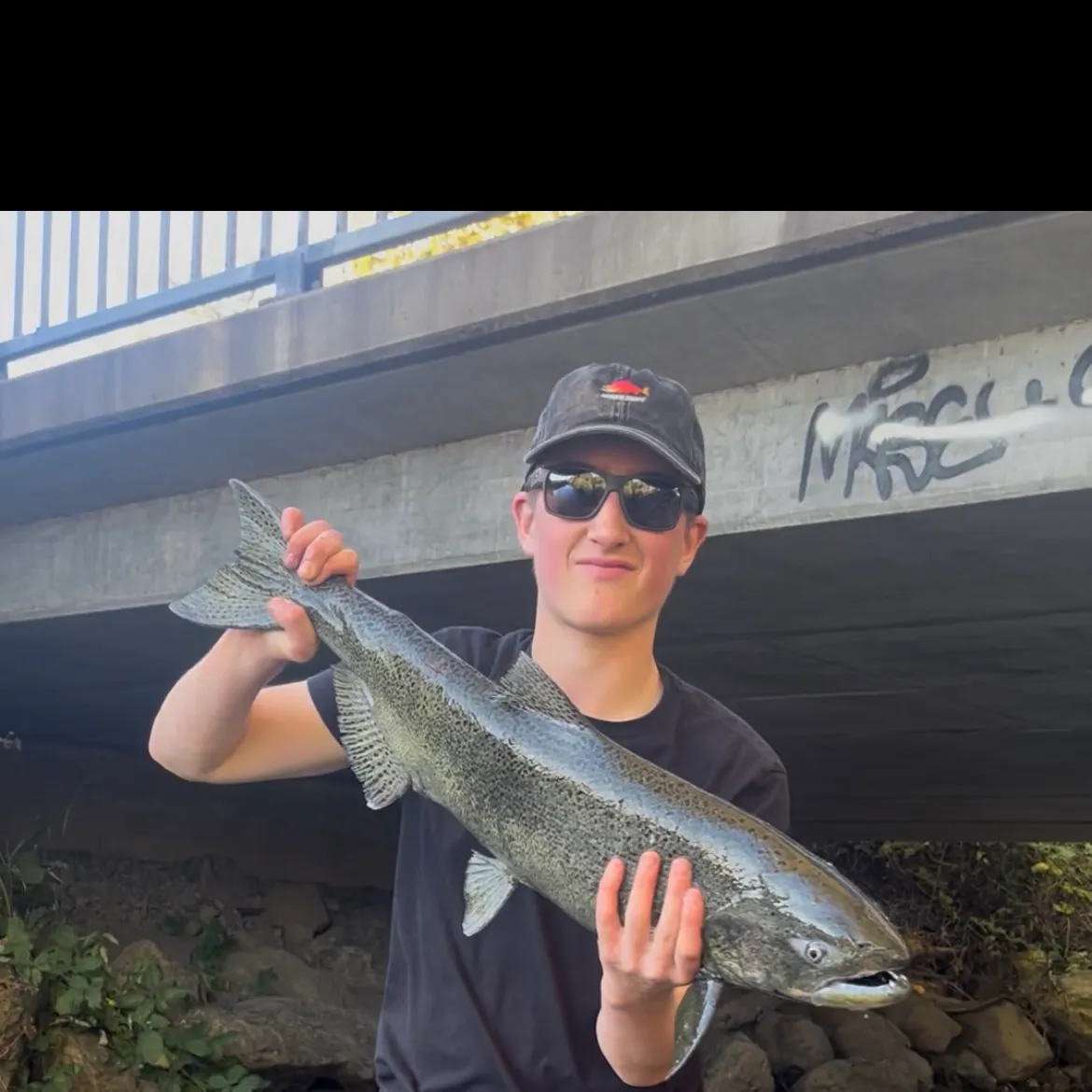 Chinook salmon caught on Fishbrain