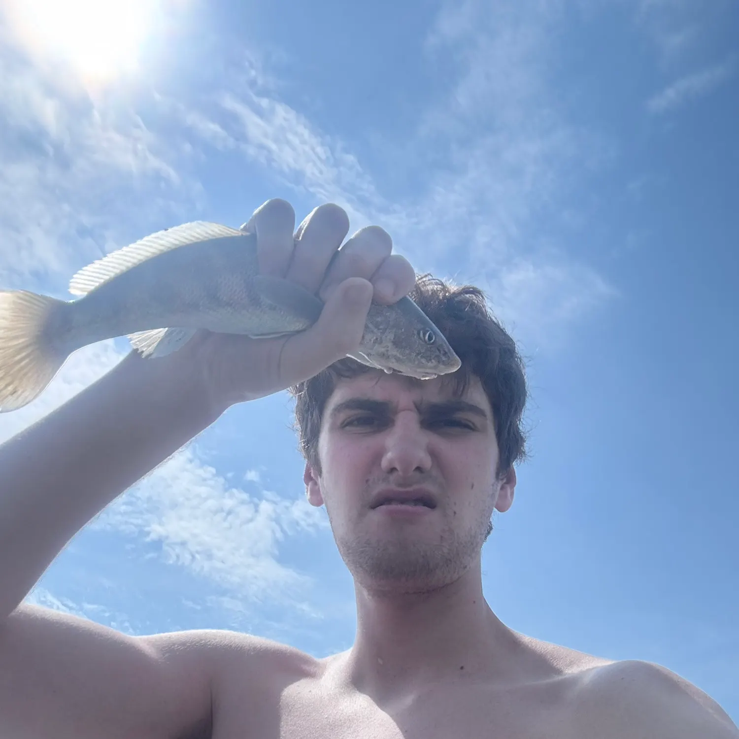 The most recent Southern kingcroaker catches on Fishbrain