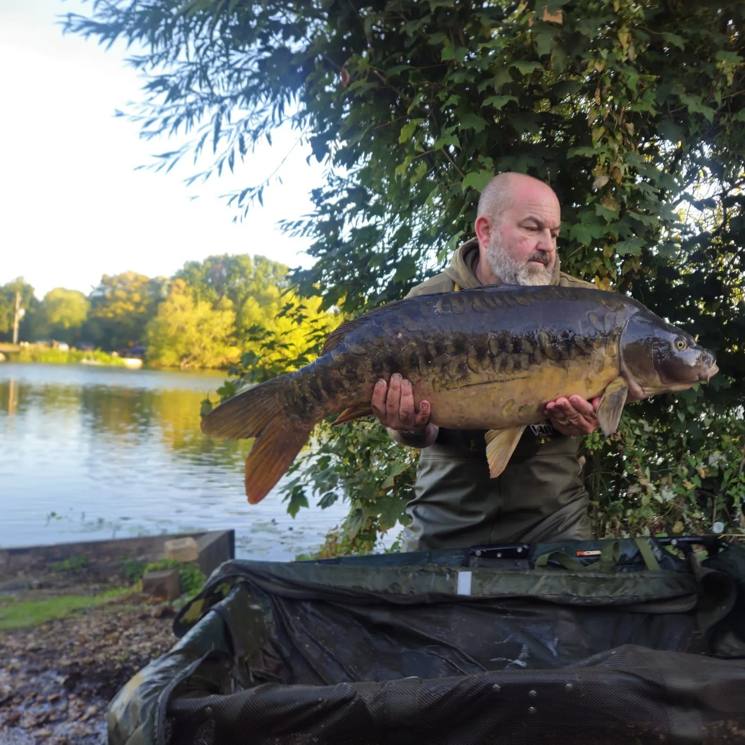 Mirror carp caught on Fishbrain