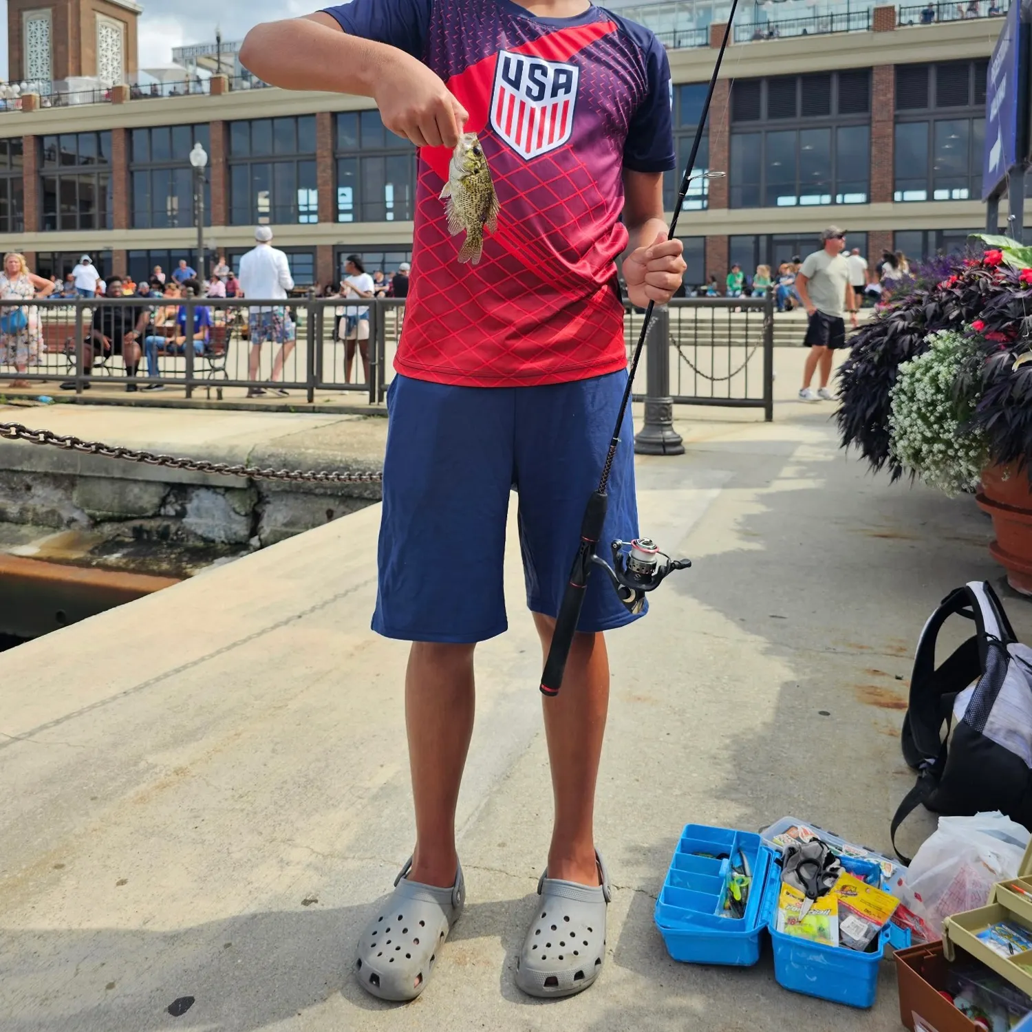 Rock bass caught on Fishbrain