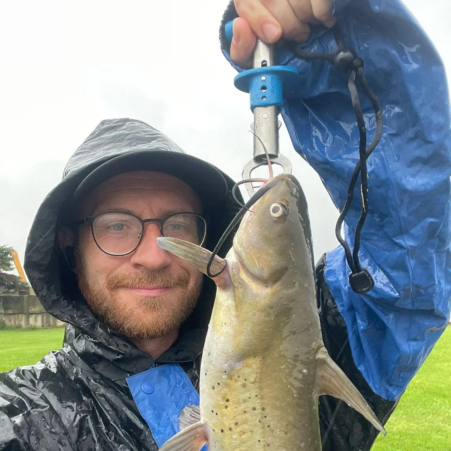 Channel catfish caught on Fishbrain