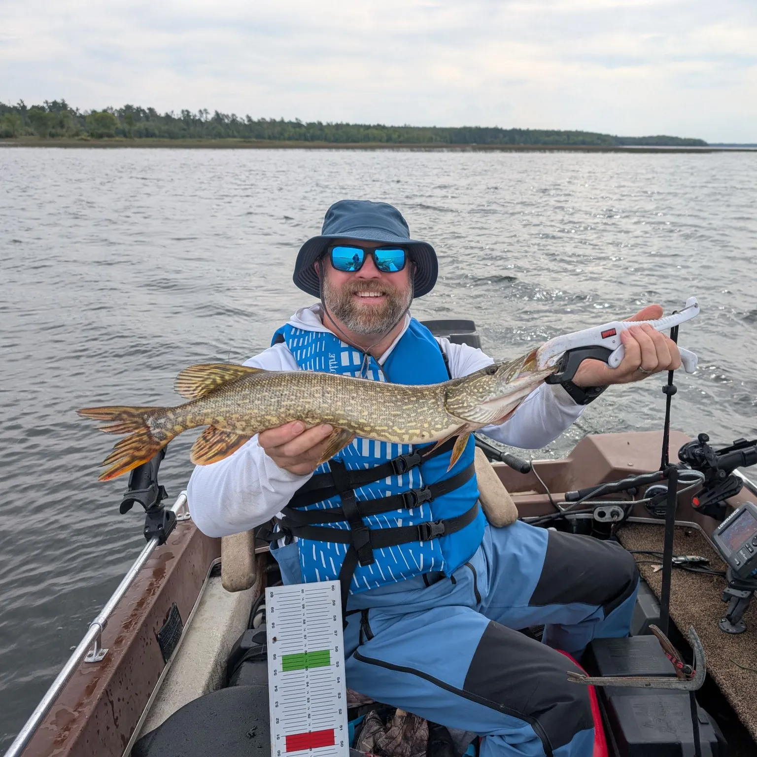 Northern pike caught on Fishbrain