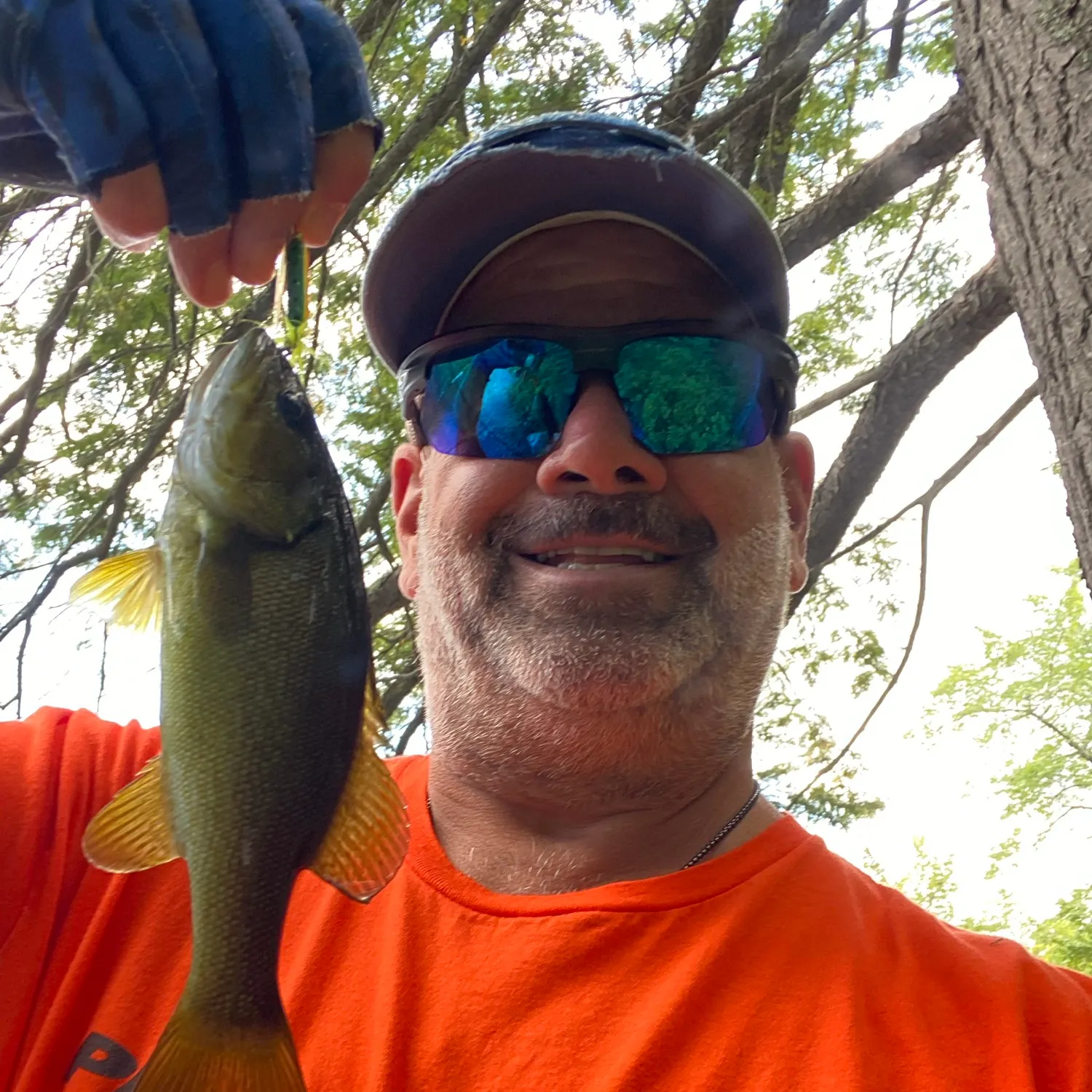 Smallmouth bass caught on Fishbrain