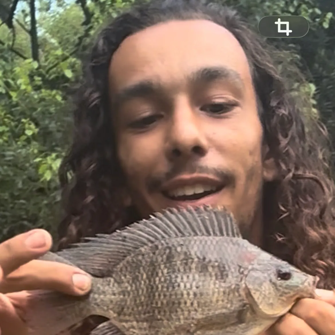 Nile tilapia caught on Fishbrain