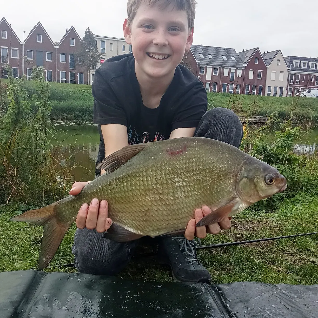 Common bream caught on Fishbrain