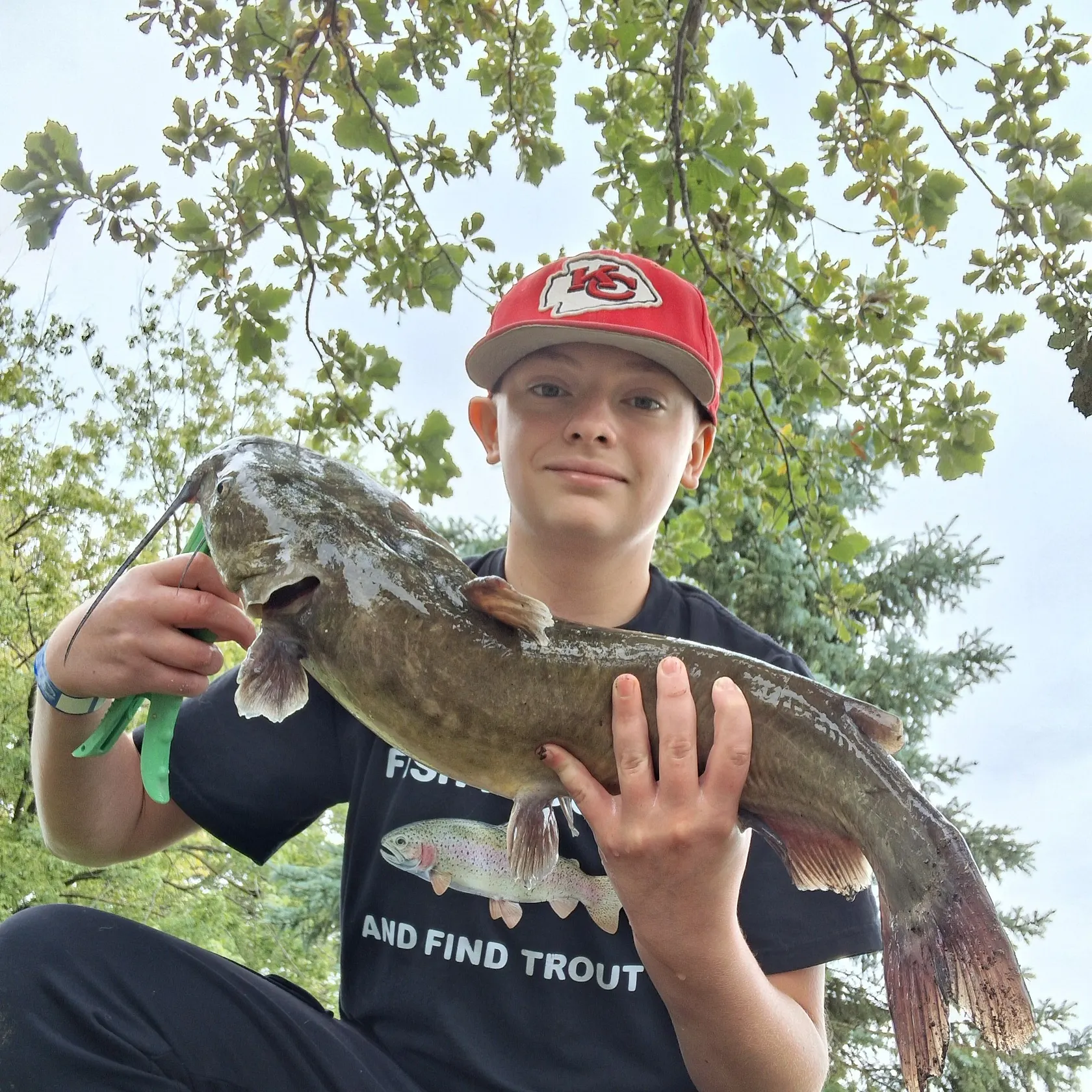 Channel catfish caught on Fishbrain